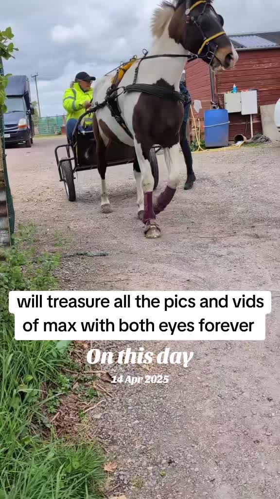 @The.Unstable.Stables