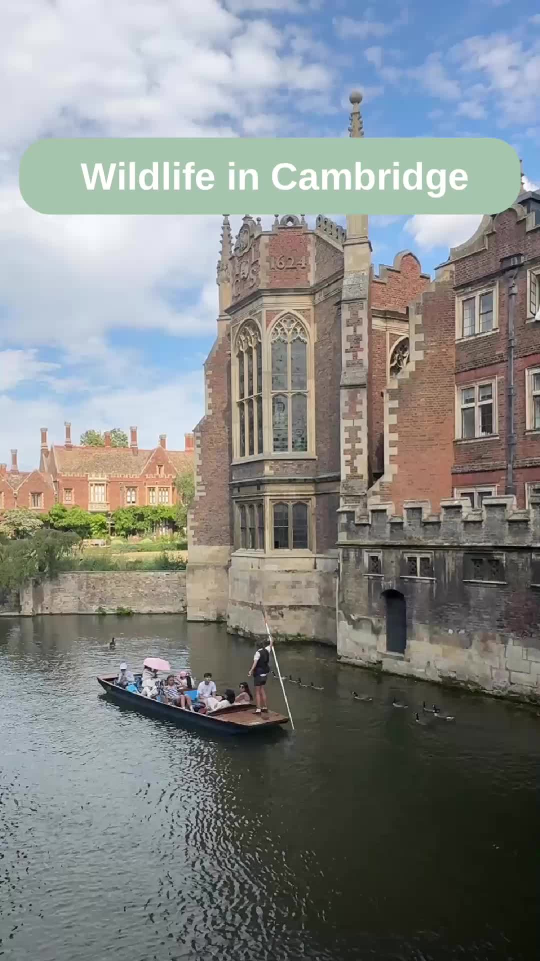 @CambridgeWanders