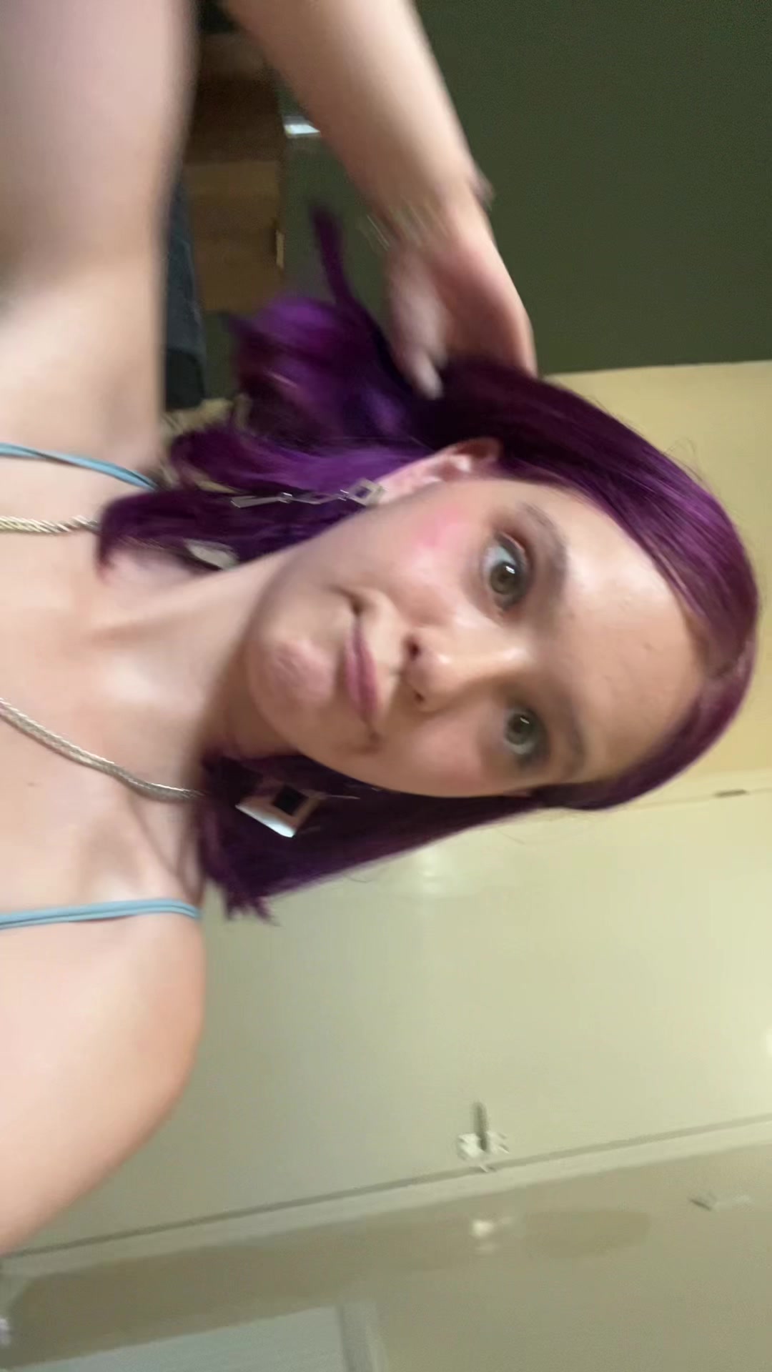 @_jamielee_angel_pet_