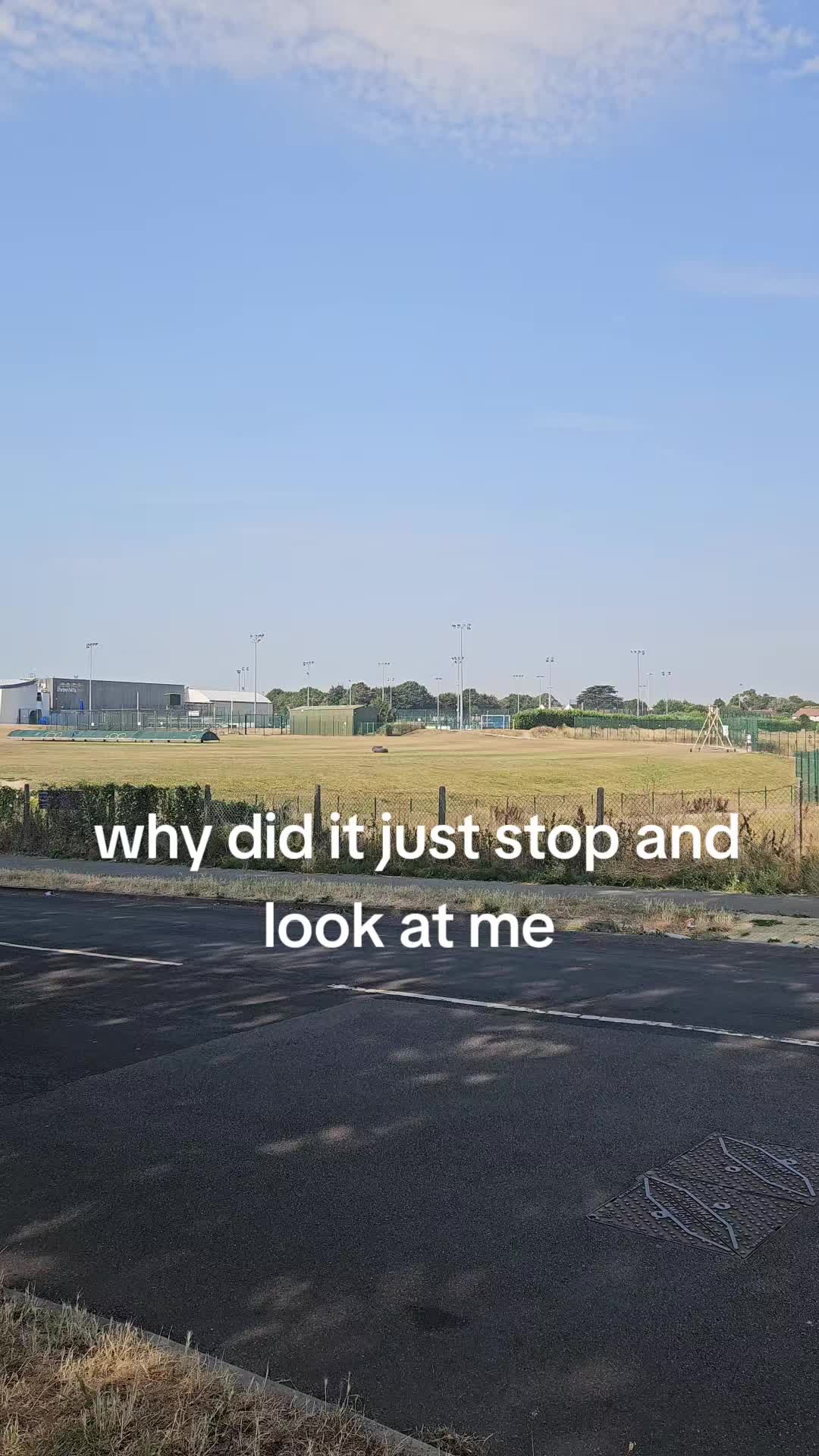 @O11y B