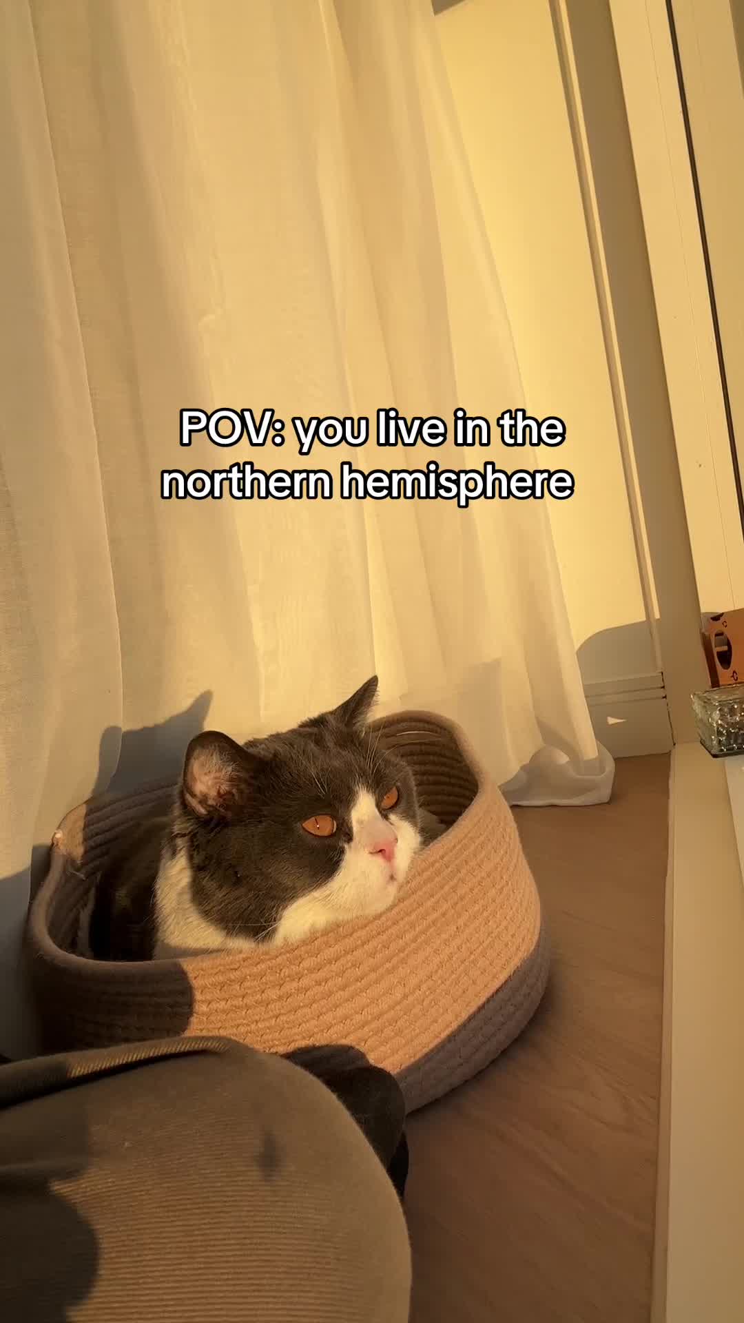 @Emojithecat