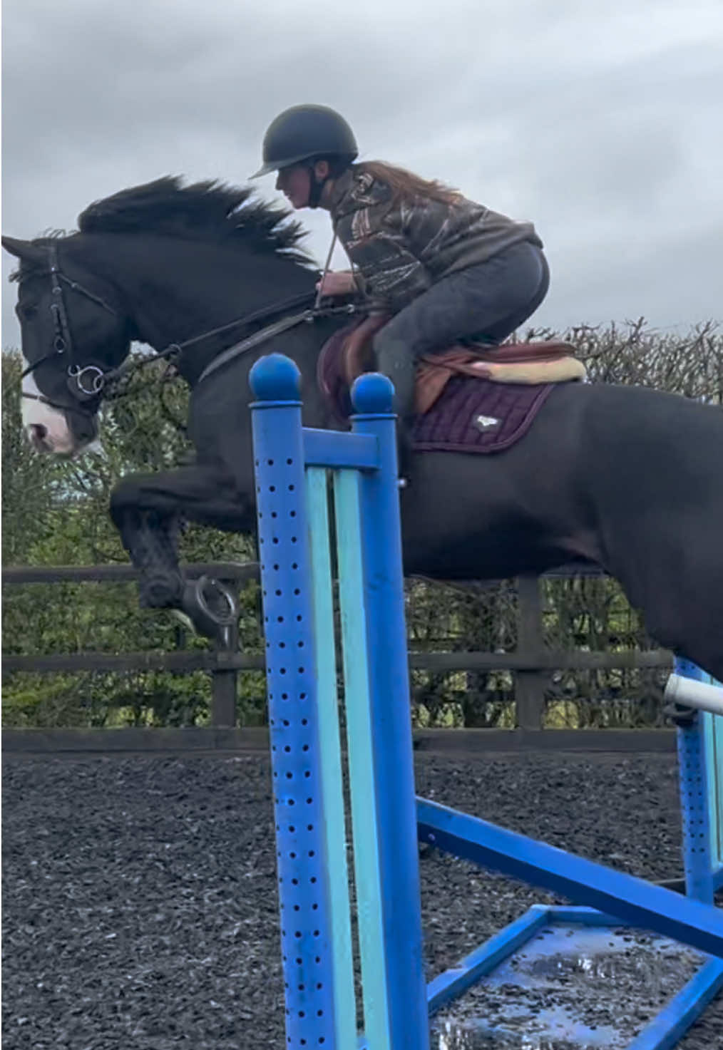 @Joss 🇬🇧🐴