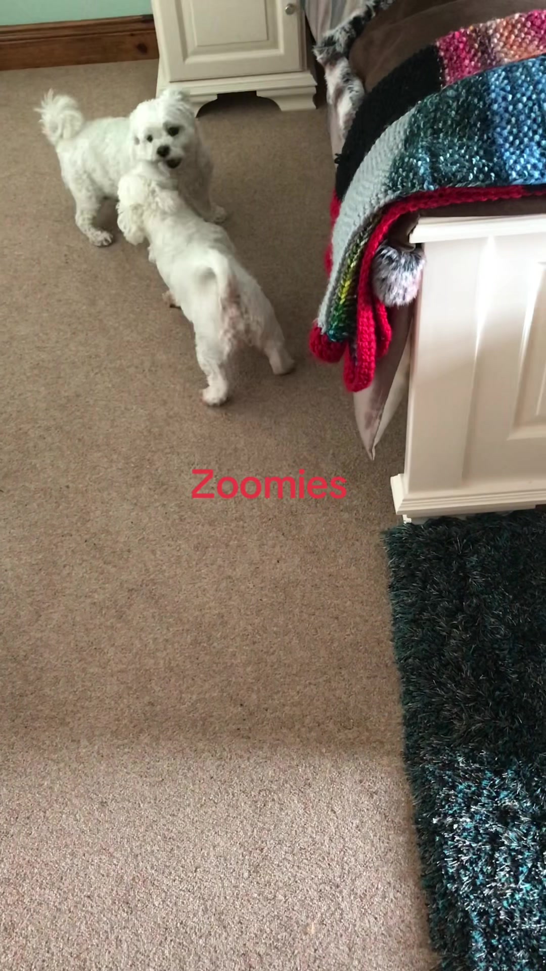 @Grainne 26