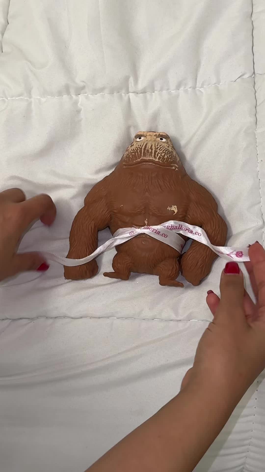@tinaamini