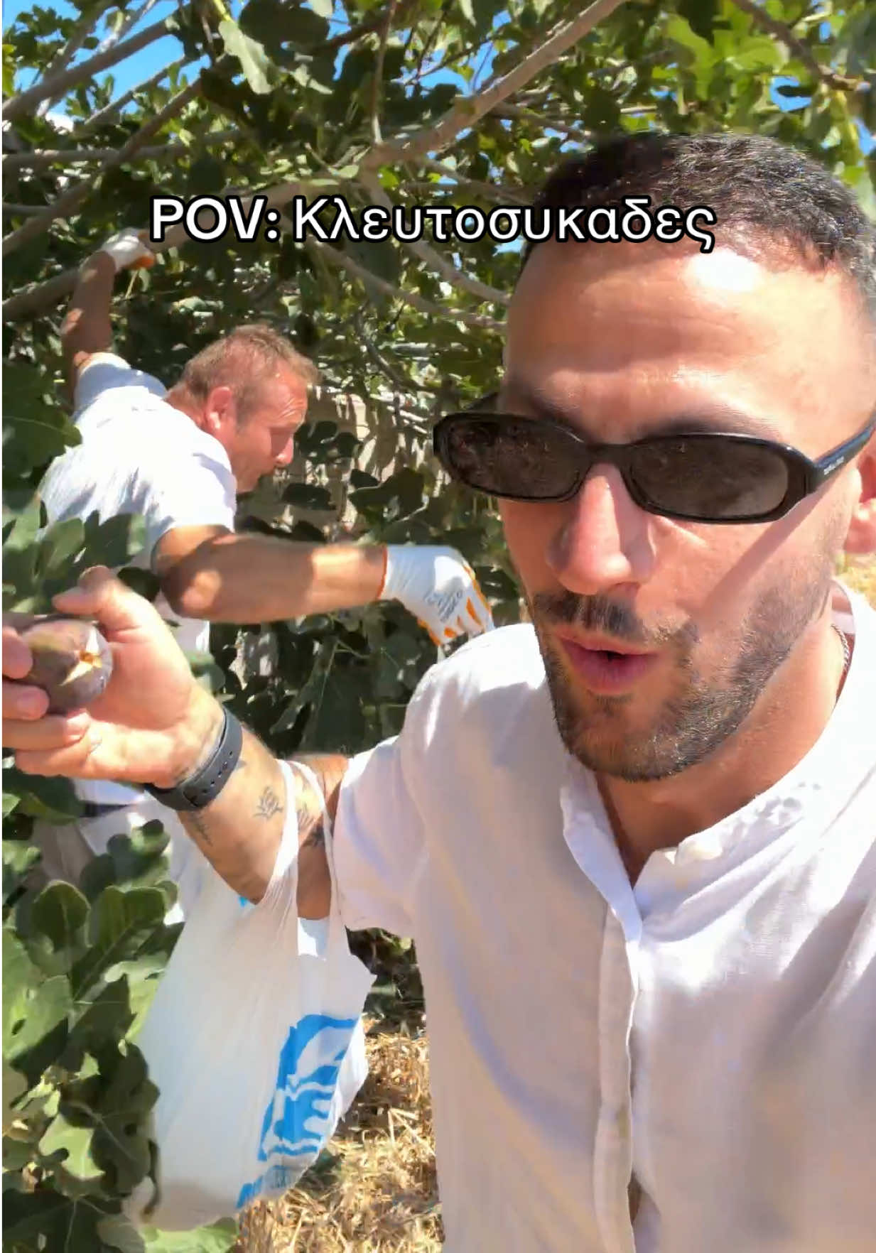 @Potamoulas_a
