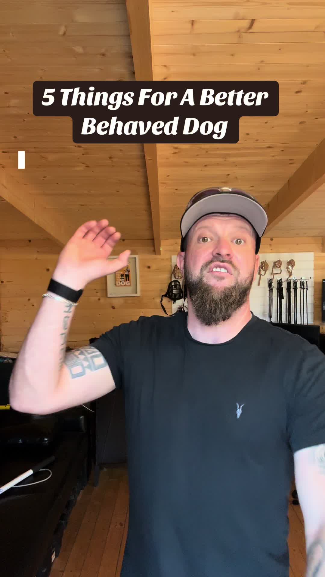 @SouthendDogTraining