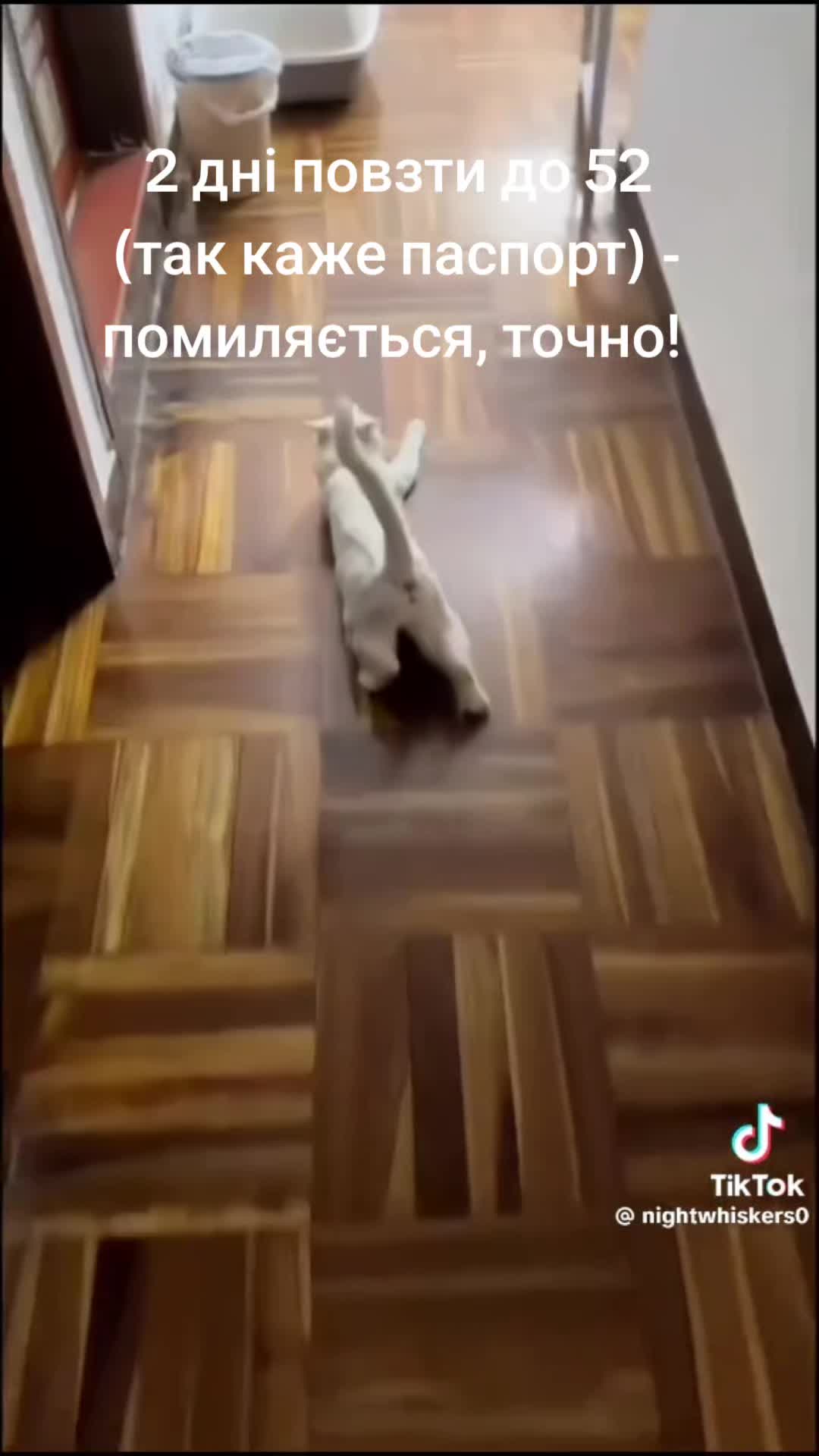 @AutoNina