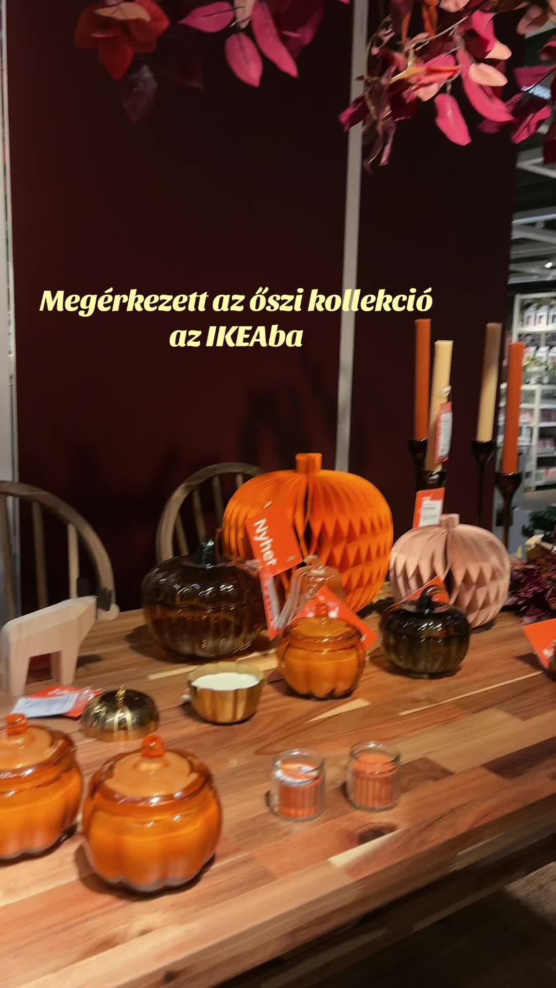 @aliz csereklei❀.ೃ࿔*