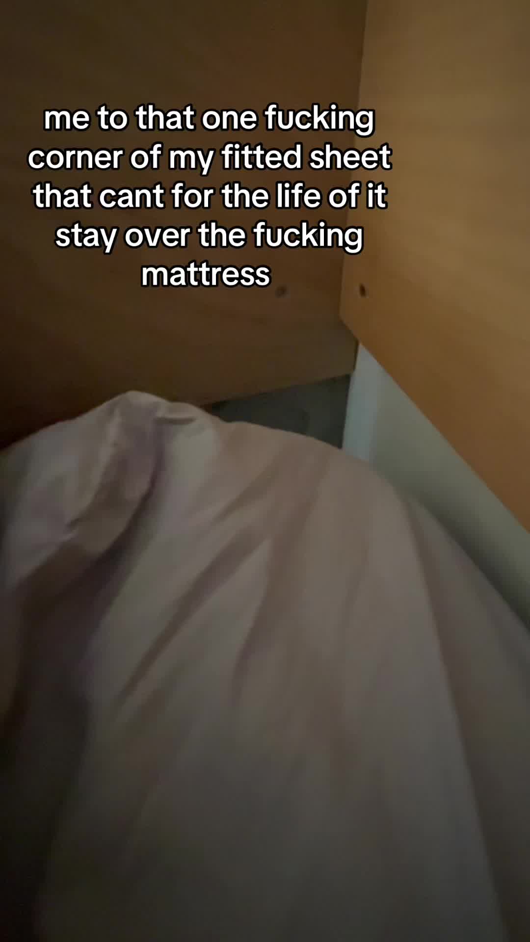 @flossy 🦊