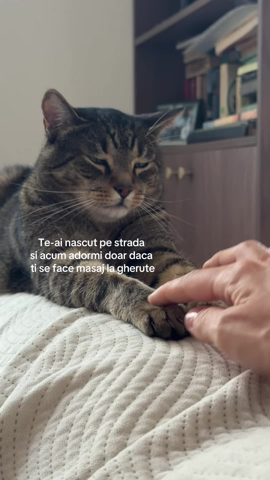 @Andra Teodoru