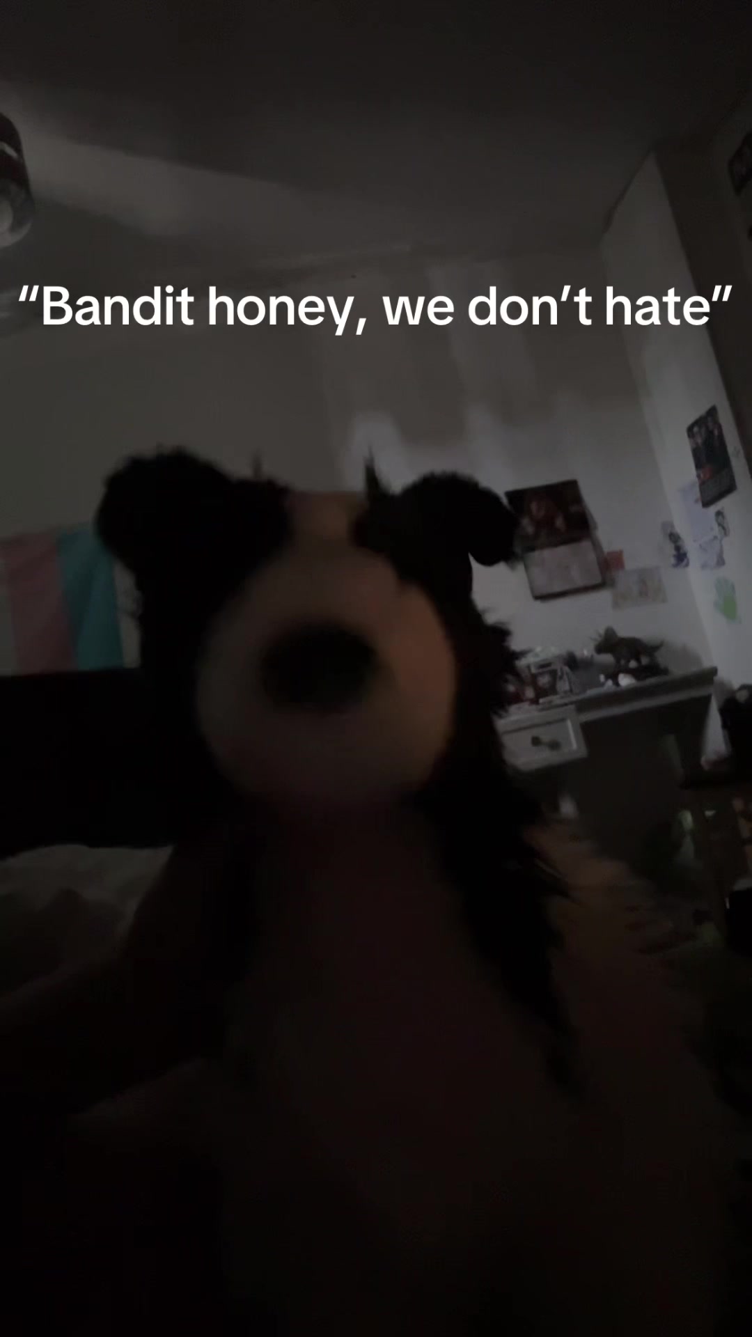 @bordercollieguy3