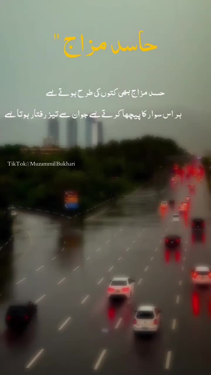 @𝙎𝙮𝙚𝙙 𝙈𝙪𝙯𝙖م𝙢𝙞𝙡 🤍