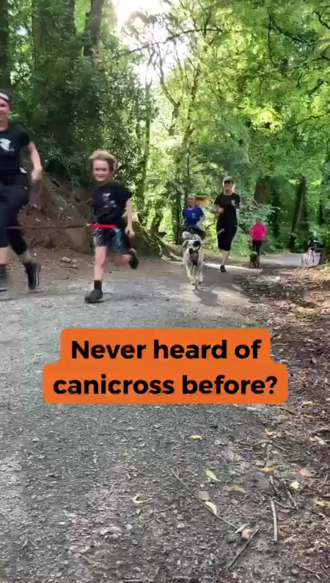 @Lindsay-CaniFit