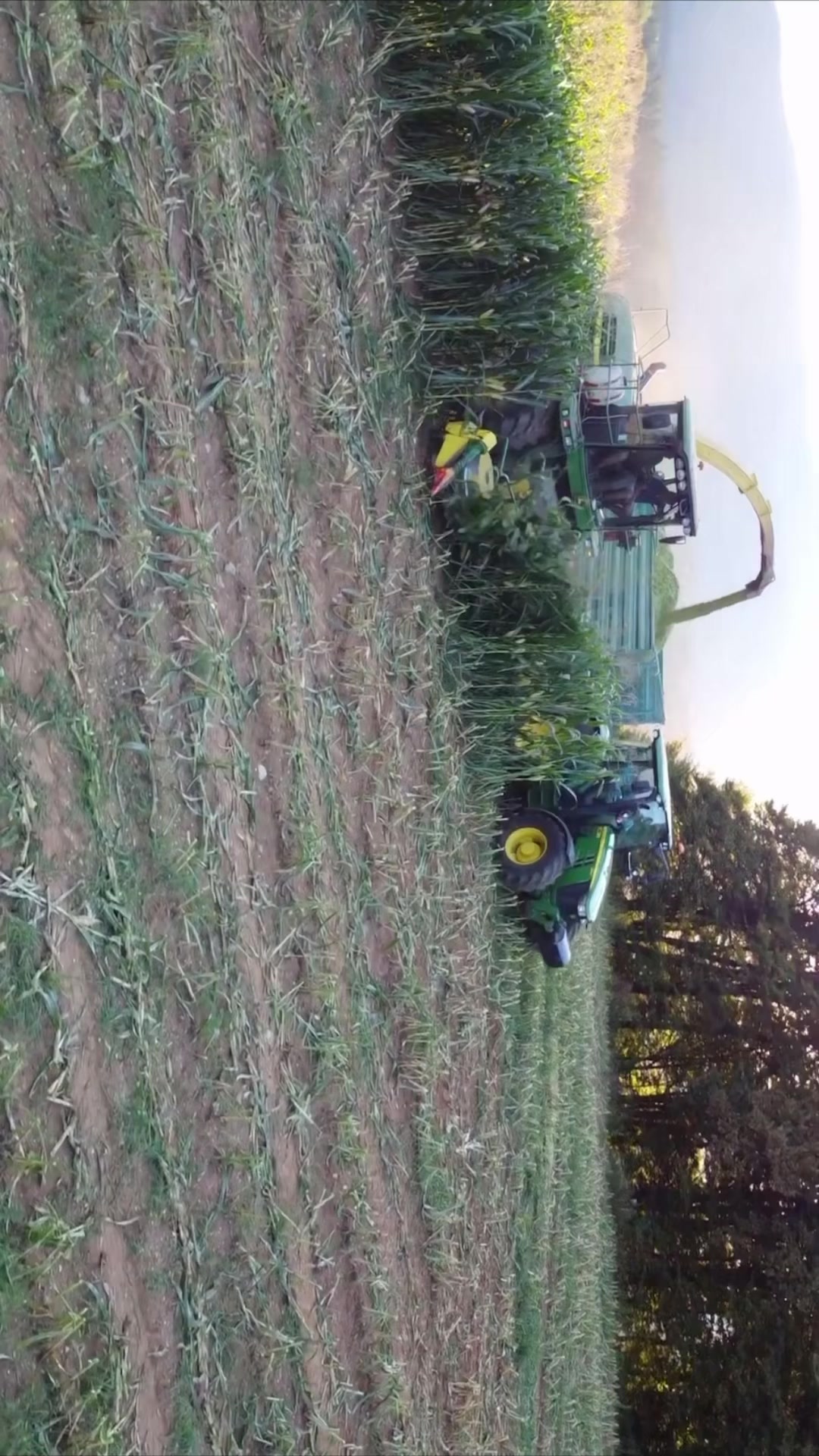 @Farming