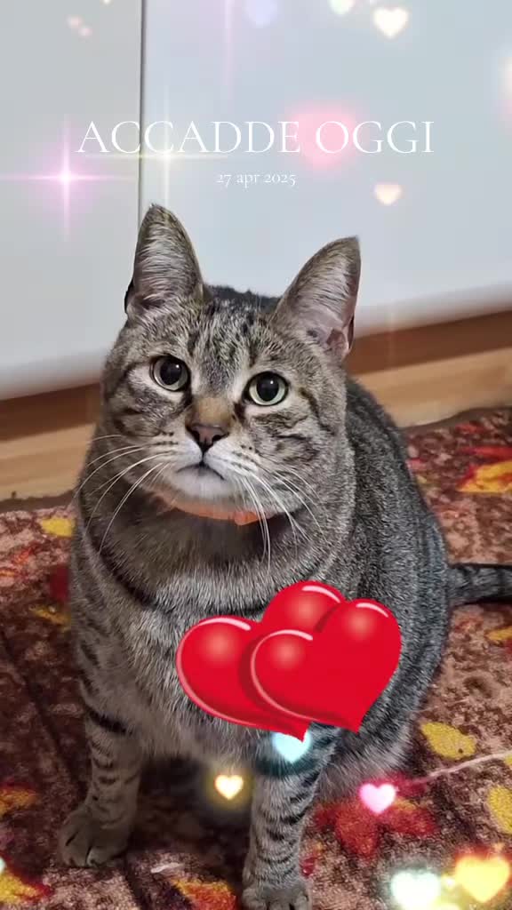 @💫⚘️Maria⚘️💫