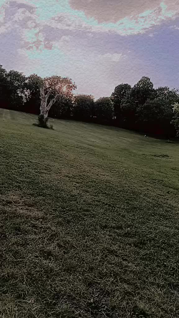 @shahazadi
