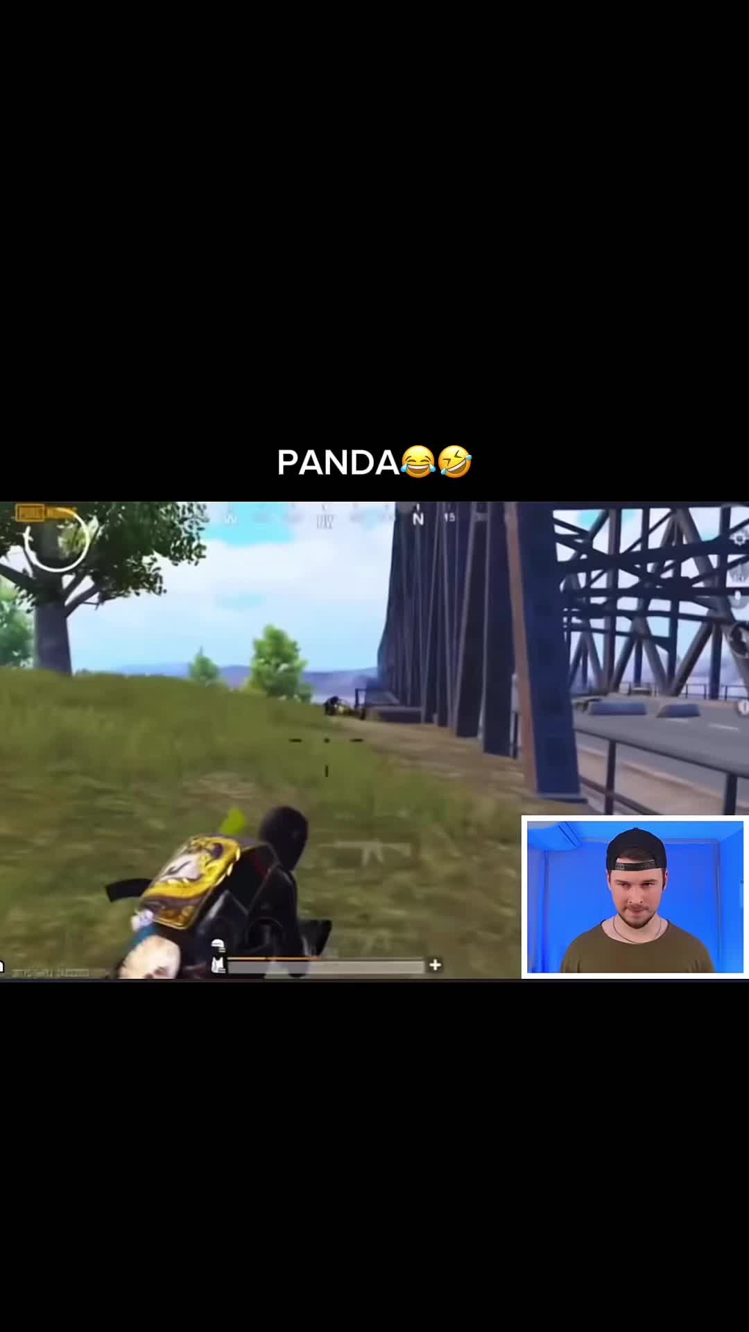 @Panda Clips