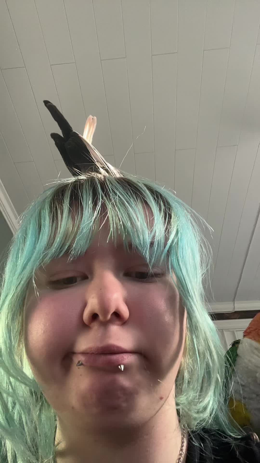 @Lain⭑.ᐟ 🪙🧪