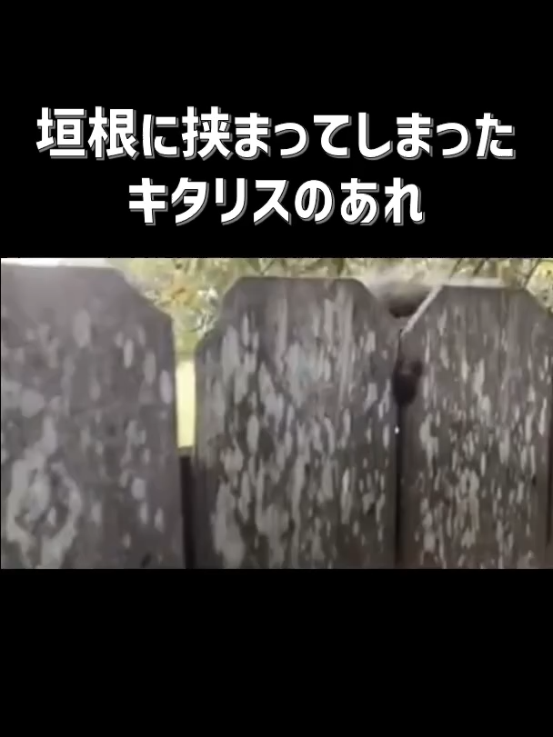@user2213765115113