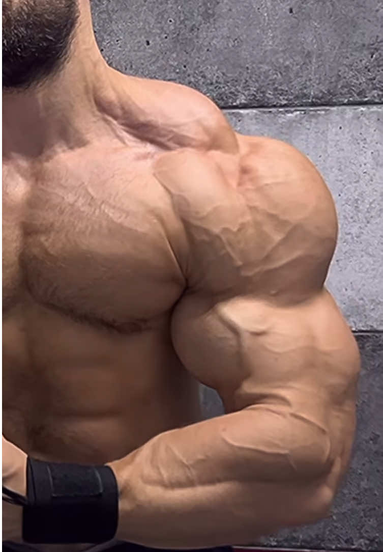@ARNO | Alpha Beast