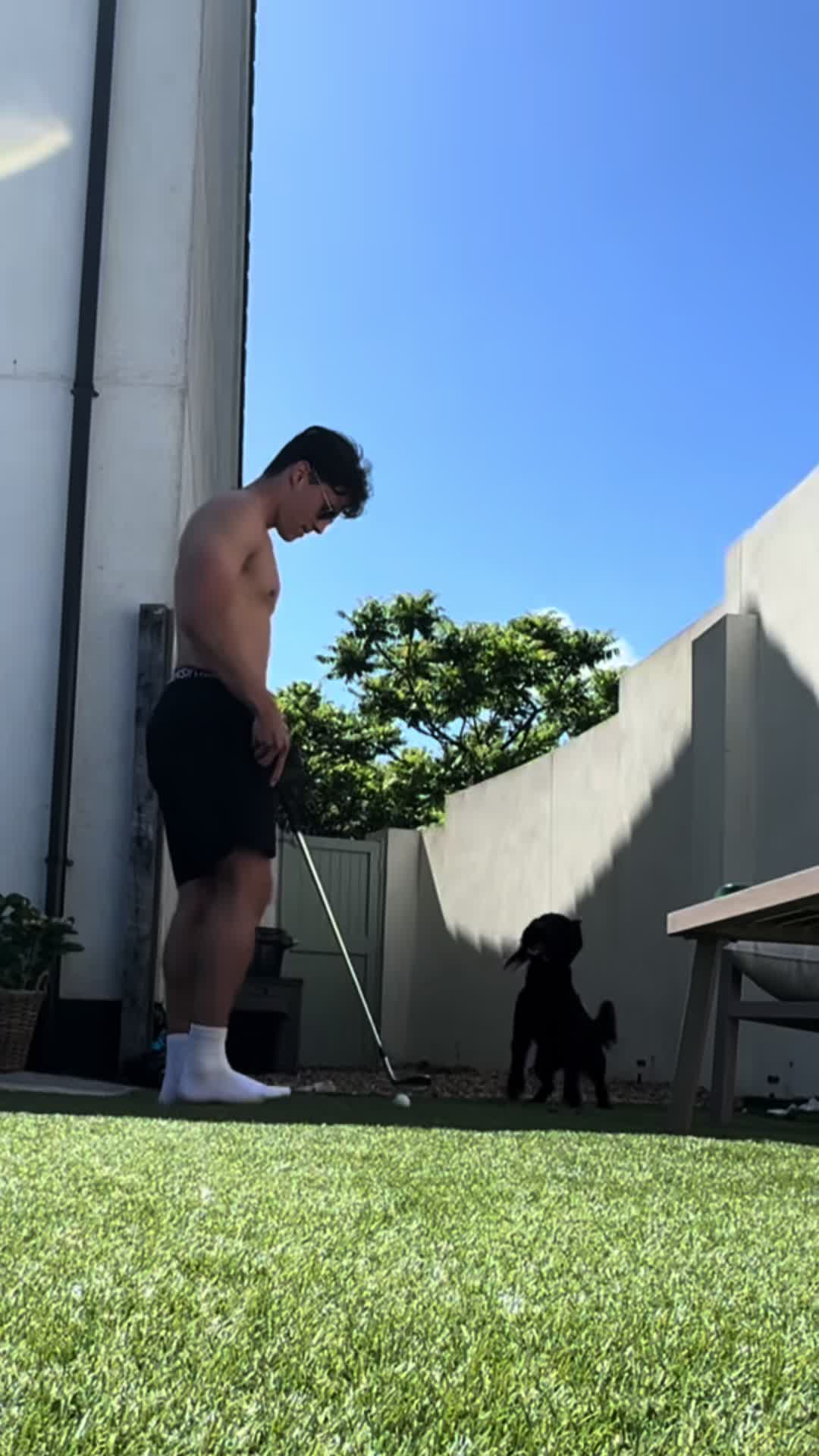 @maggie.moo.cocker
