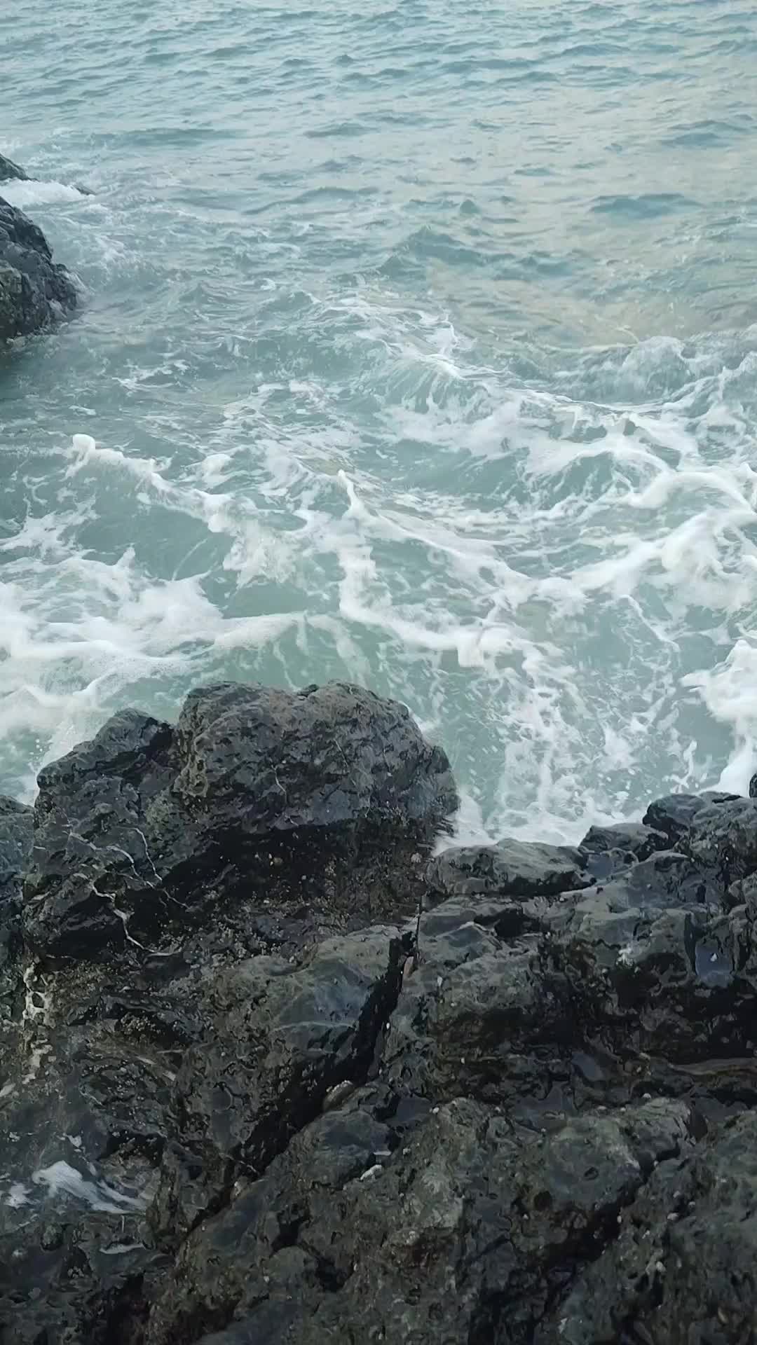 @ابواصطيف
