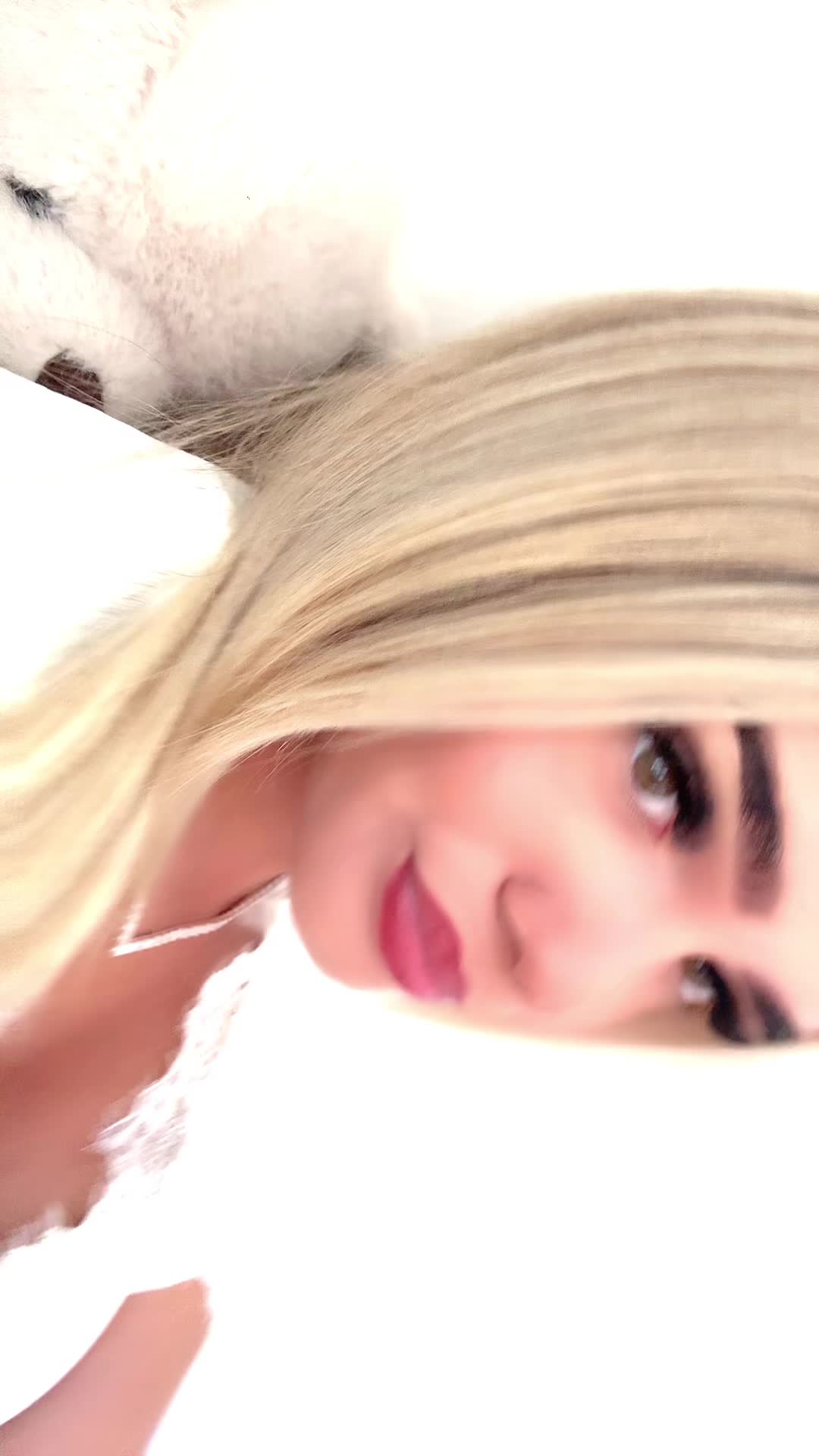@𝓯𝓻𝓮𝔂𝓪 ᥫ᭡