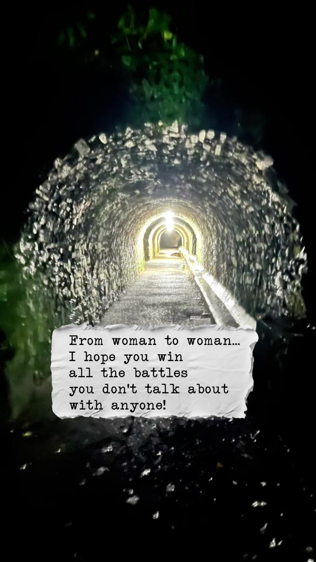 @Queenbee 👑🐝