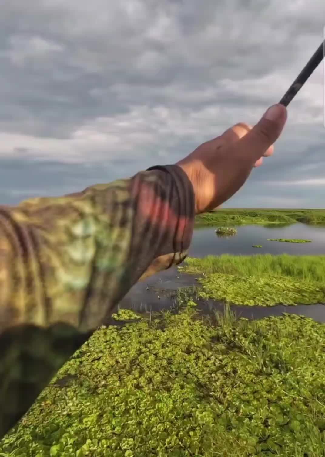 @fishing