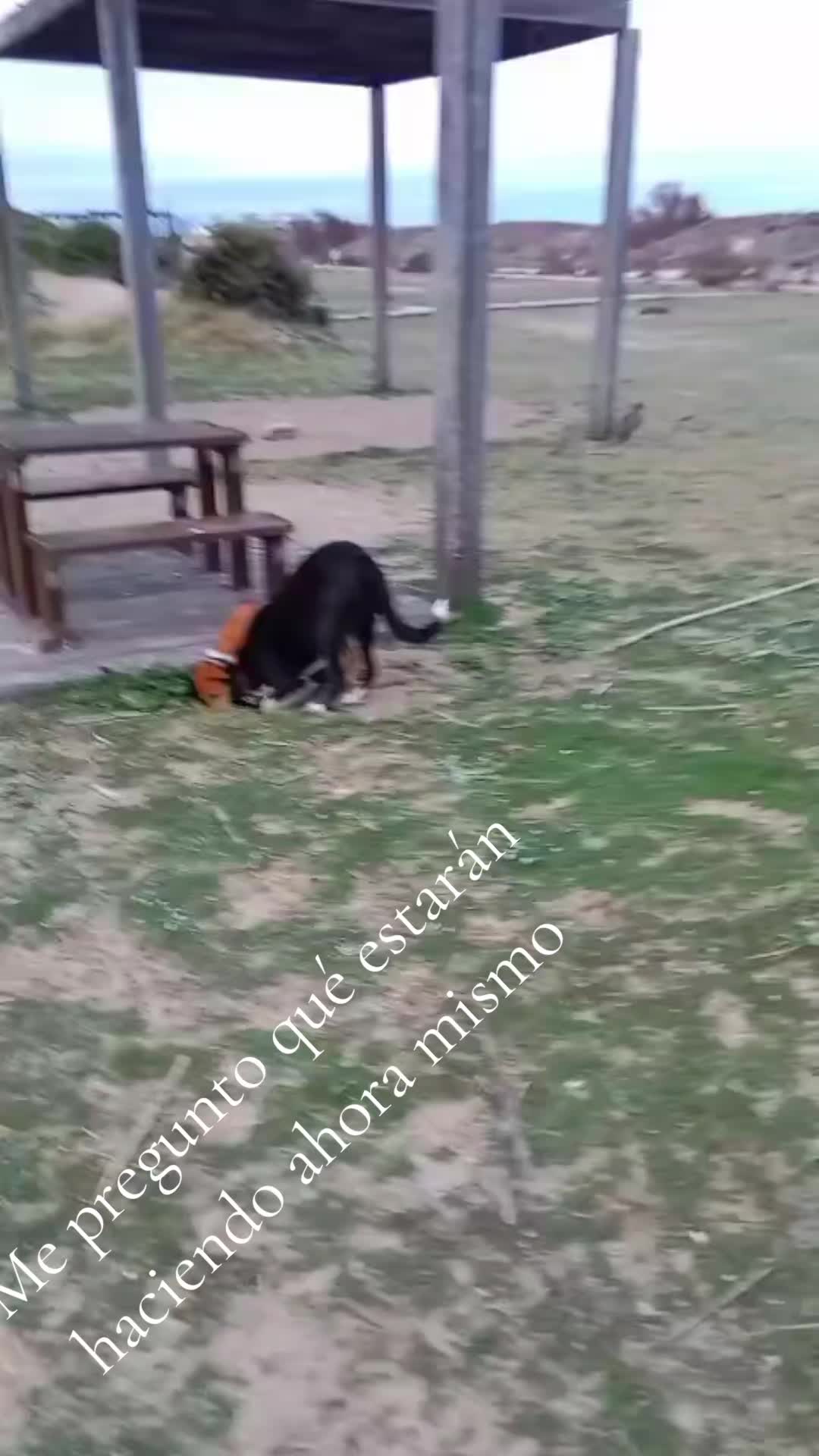 @❤️❤️Mónica