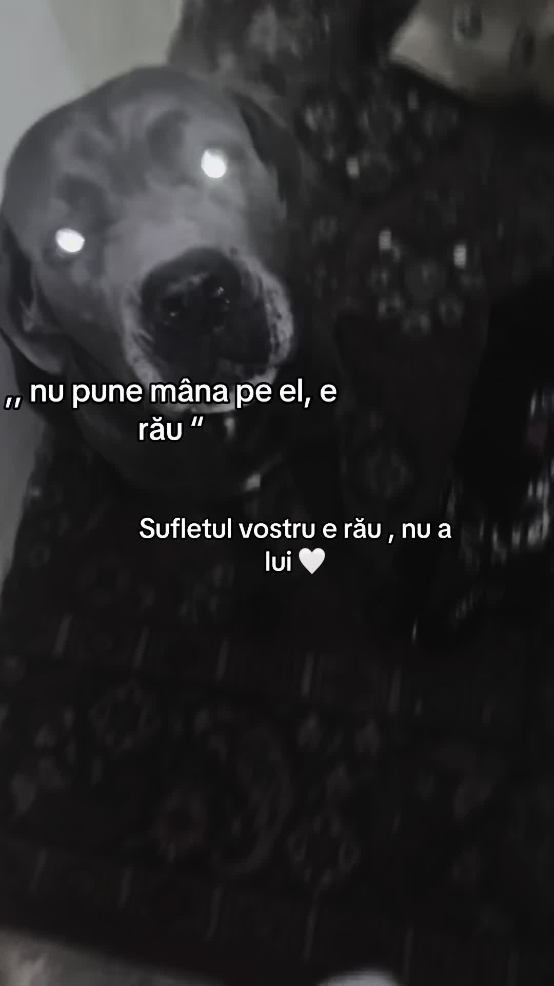 @🤷🏻♀️🧊