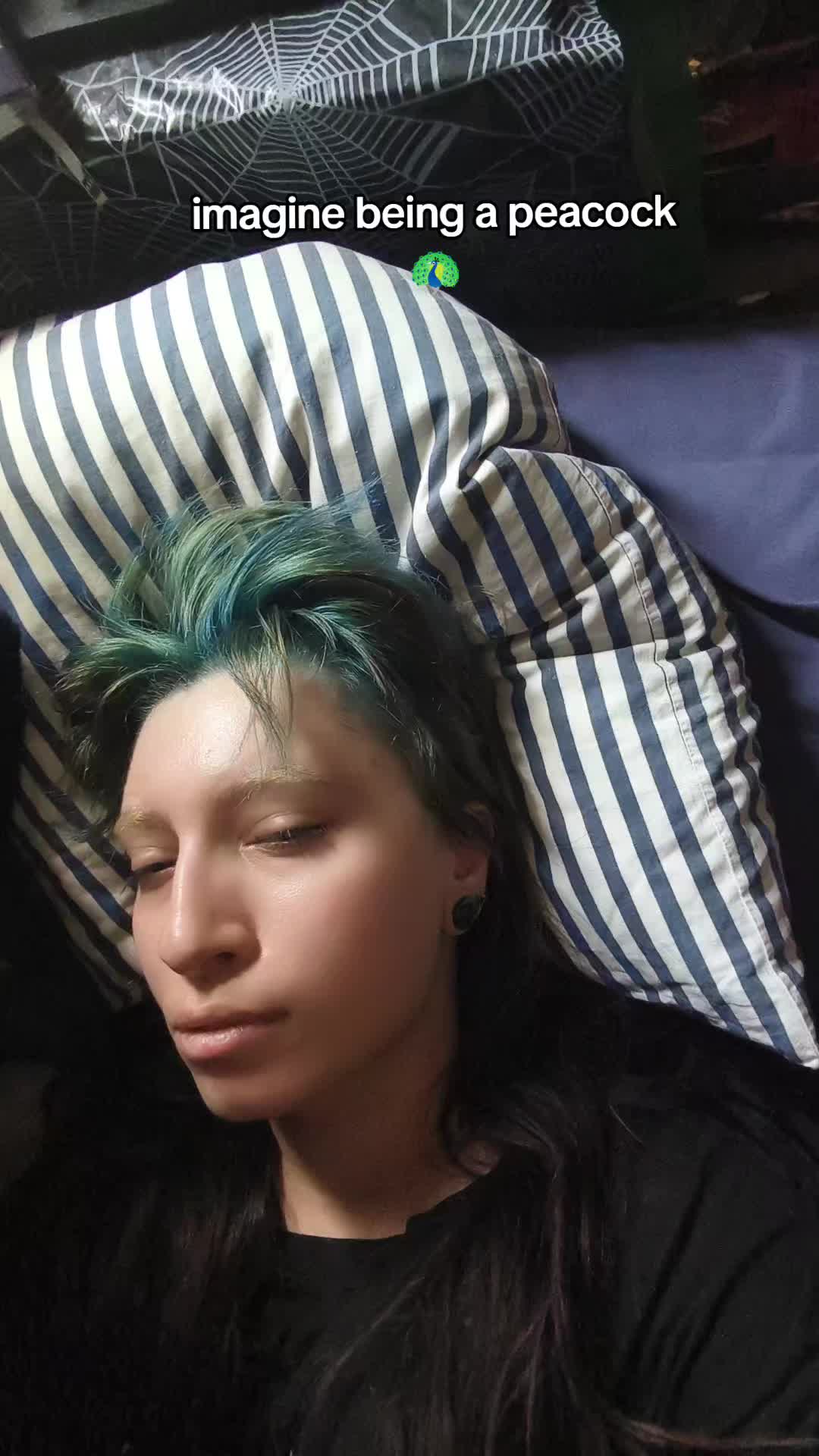 @Tenko