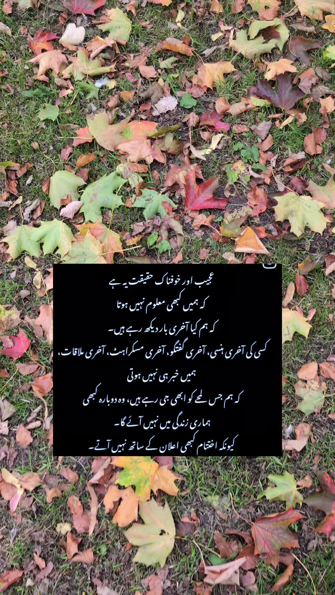 @Fo🧕Tabbasam 321