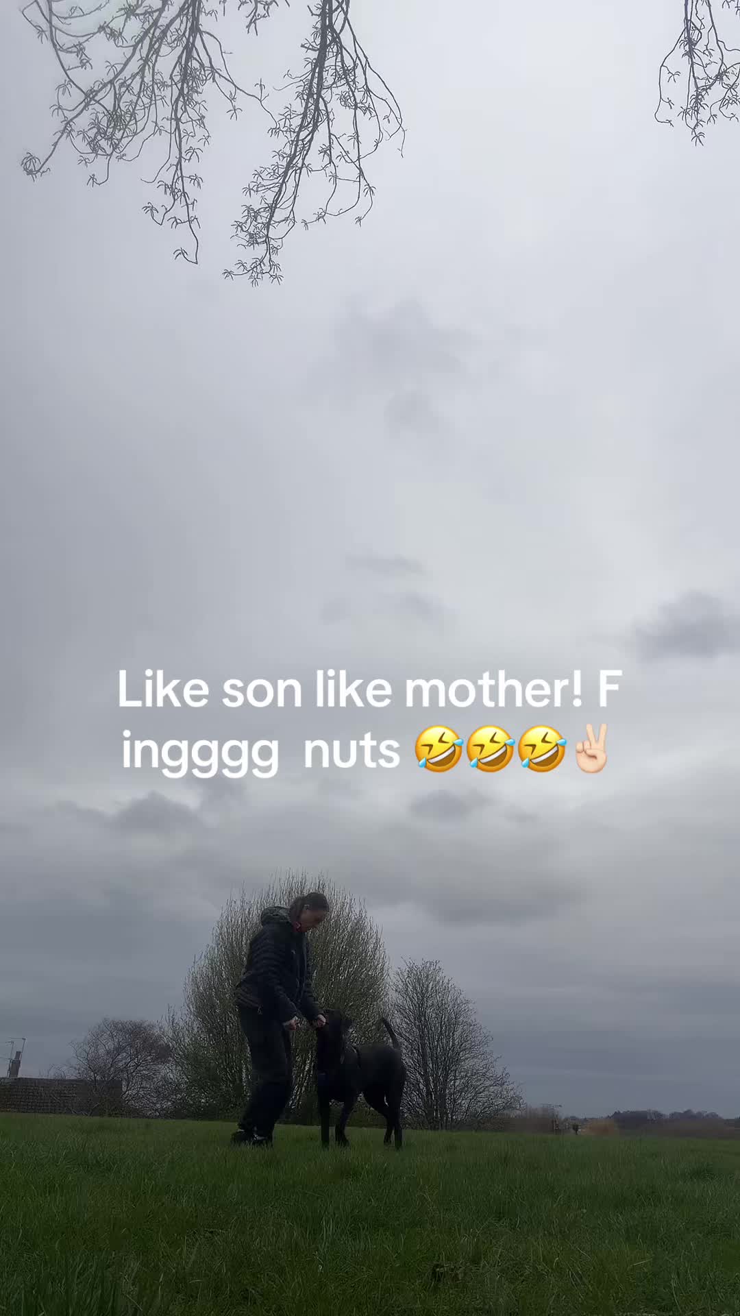 @broccolistick7