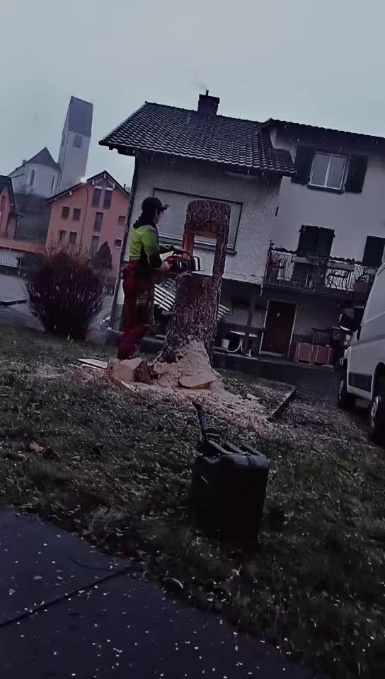 @holzbuby🌲🦺🪓