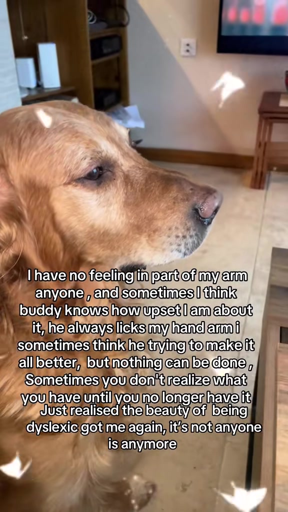 @Happy buddy