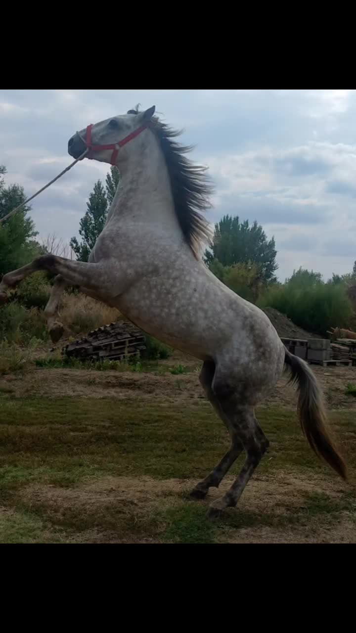 @𝓐𝓷𝓷𝓪👑