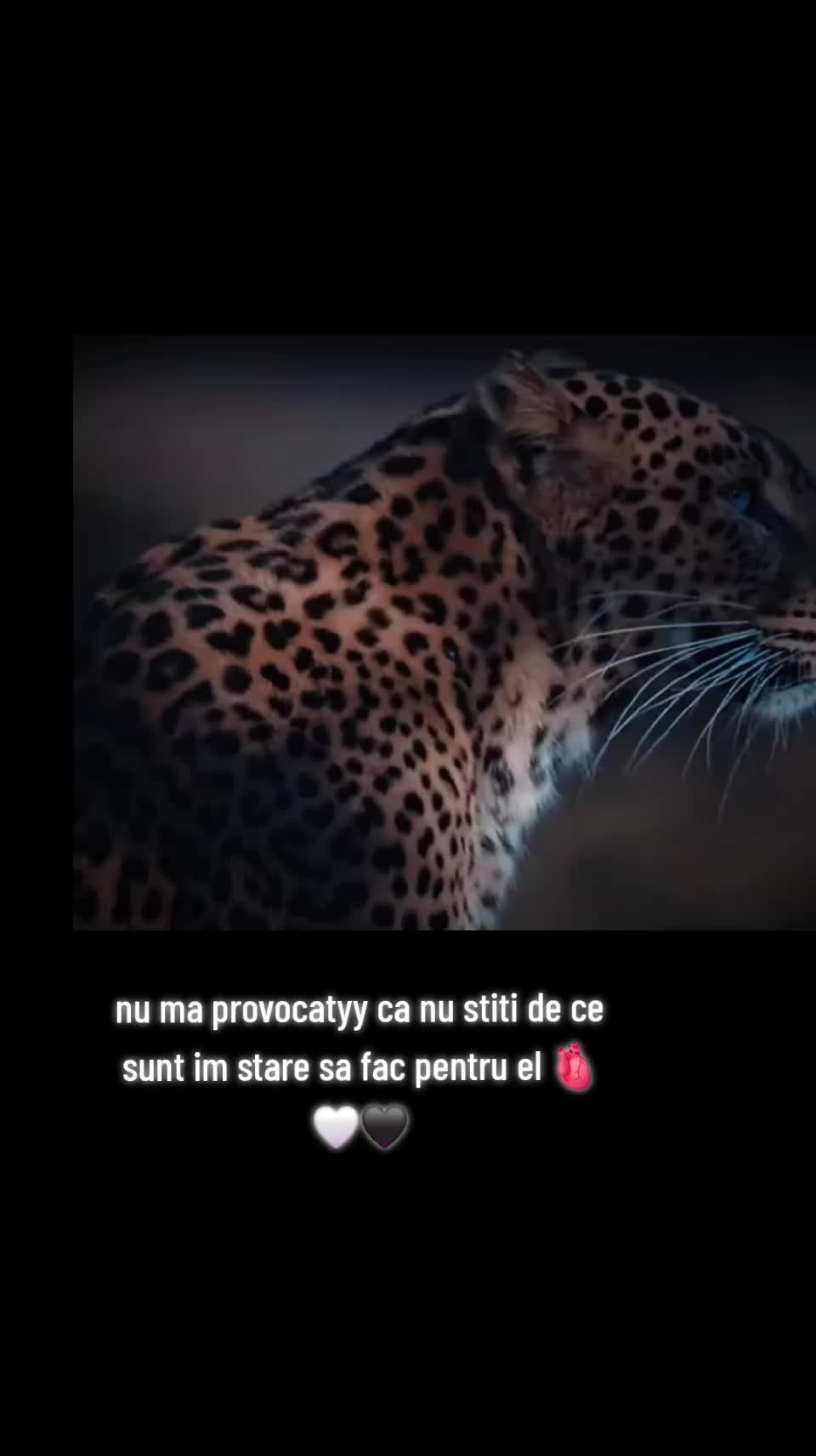 @Adriana Ela 🤭