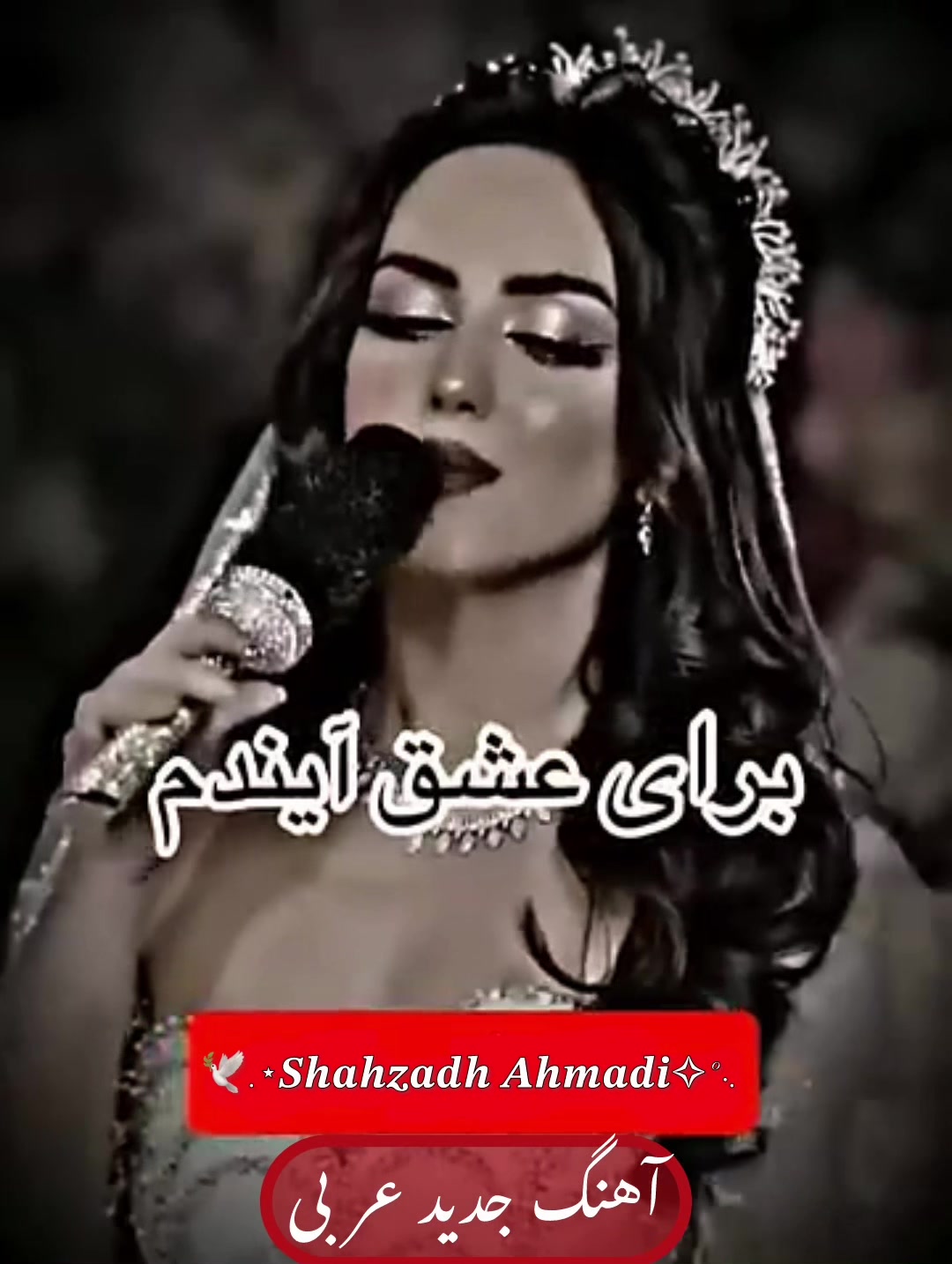 @𝑺𝒉𝒂𝒉𝒛𝒂𝒅𝒉 𝑨𝒉𝒎𝒂𝒅𝒊˚
