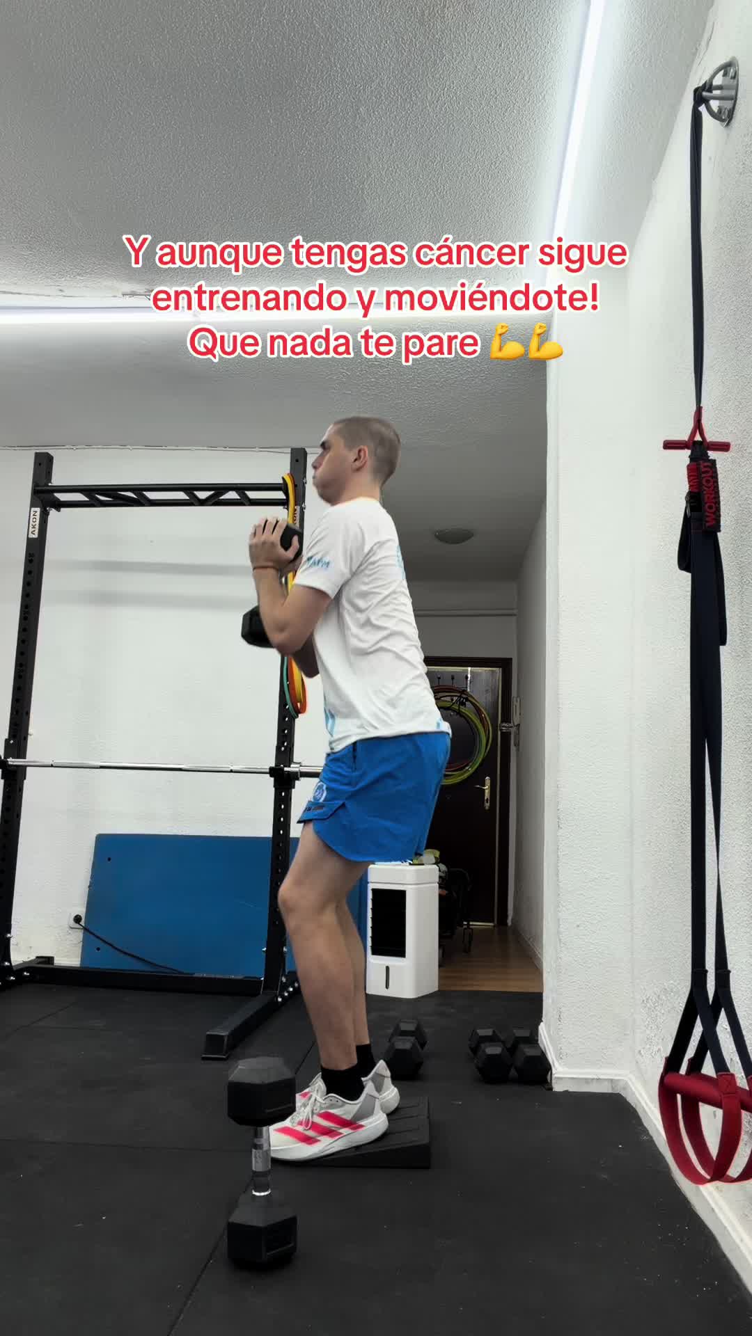 @marcoleddd