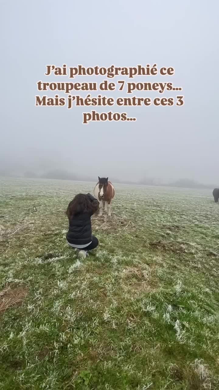 @Seren the pony 🐴