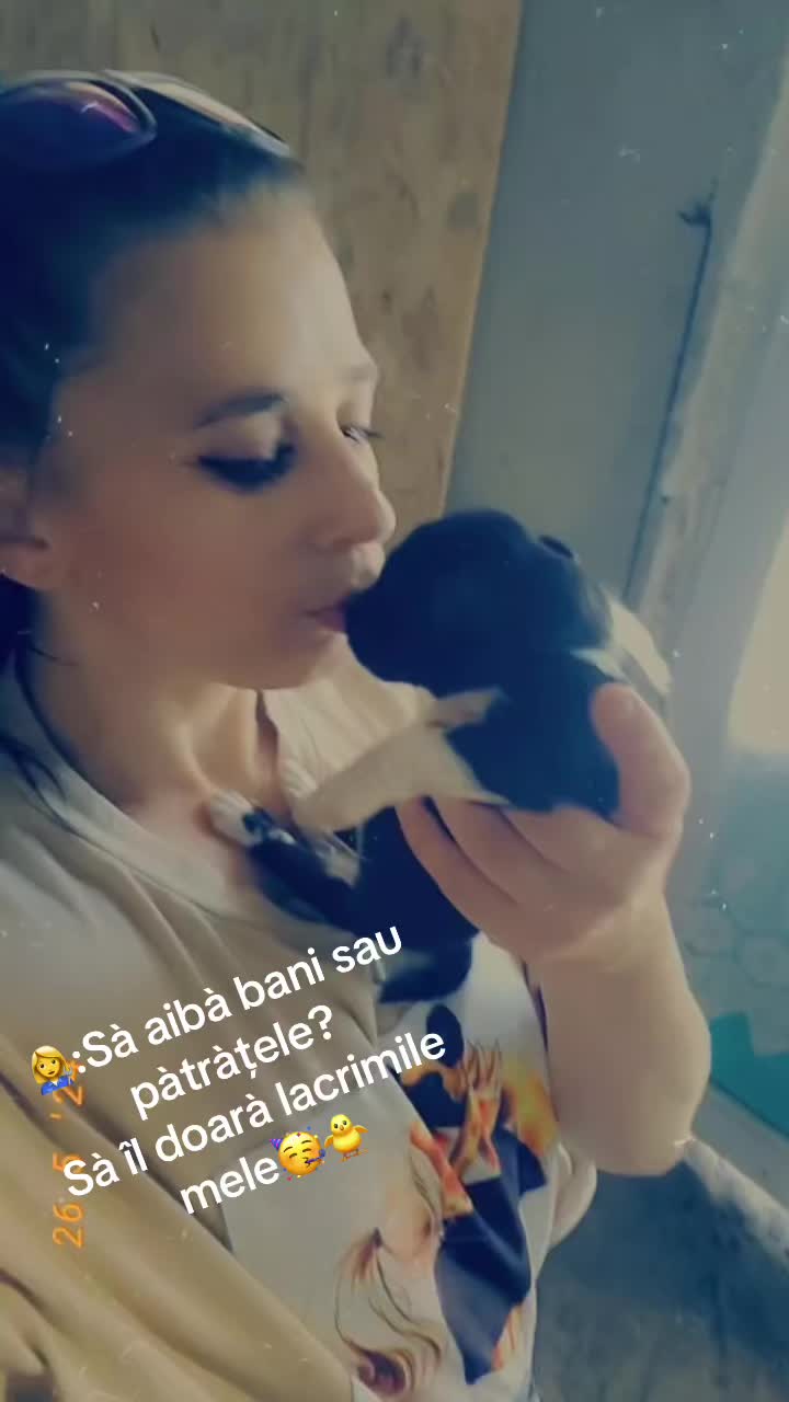 @Adriana Laura