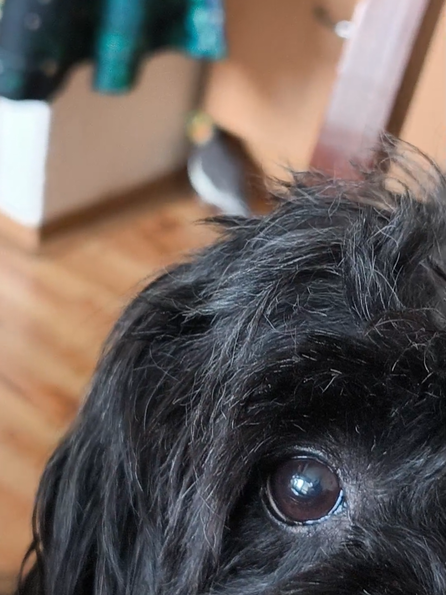 @🐦Eva Maria Vráblíková 🐕