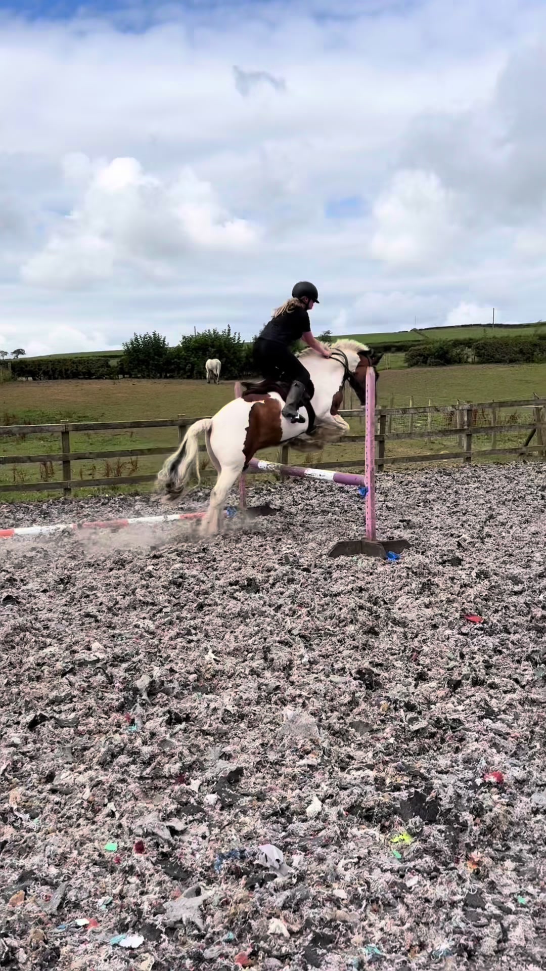 @Lilywiththecobs🐴