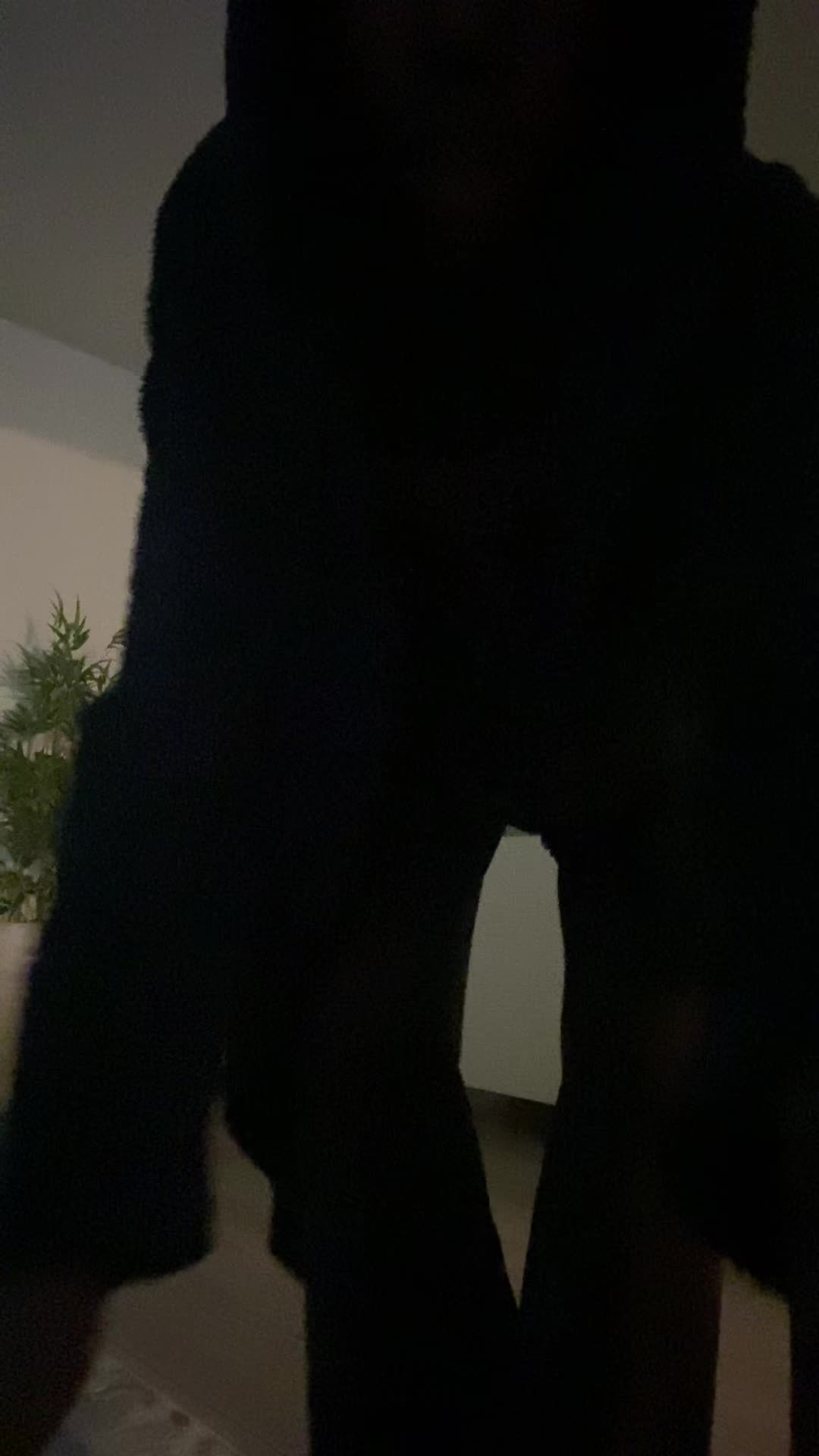 @ali