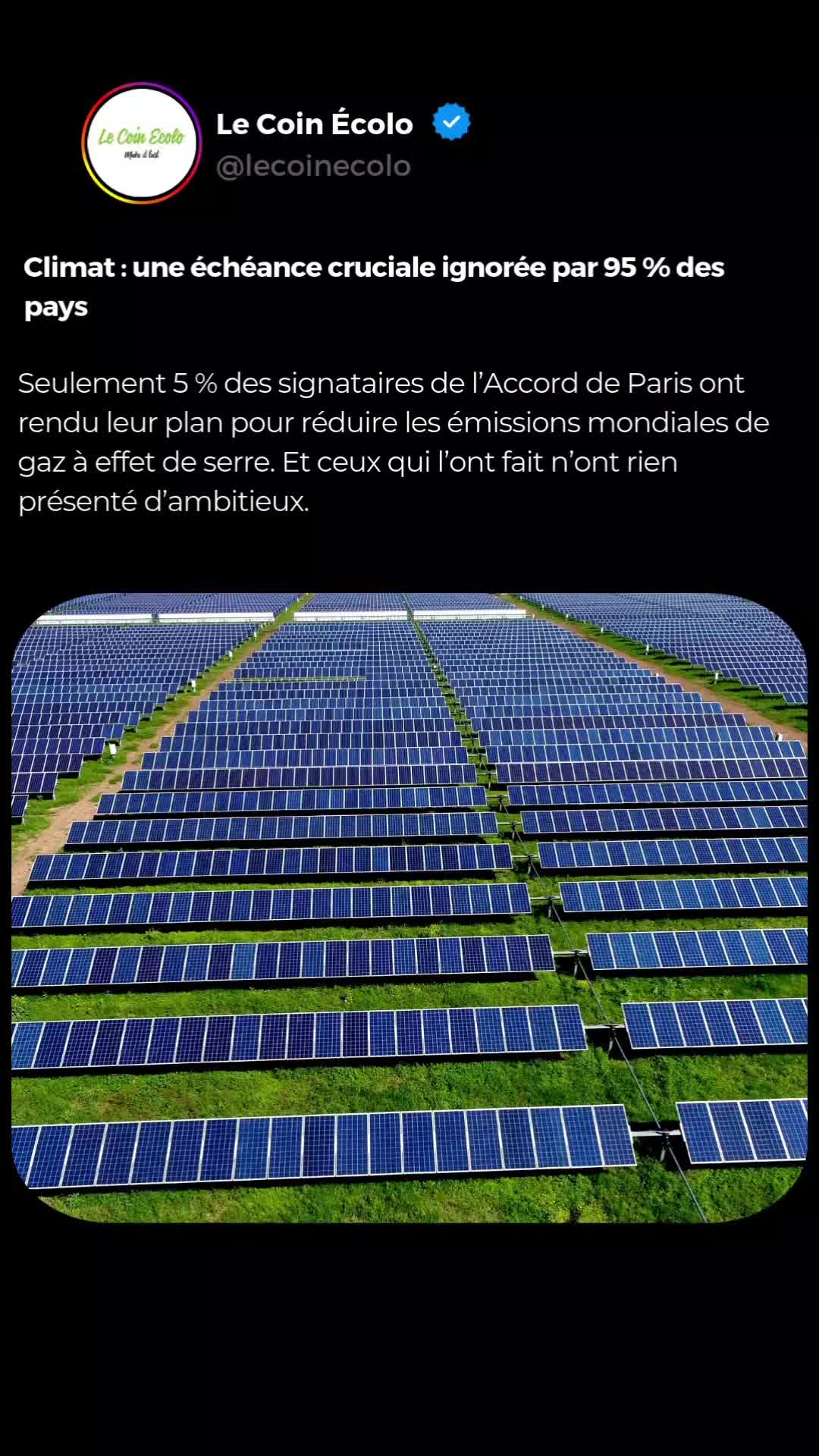 @Le Coin &Eacute;colo