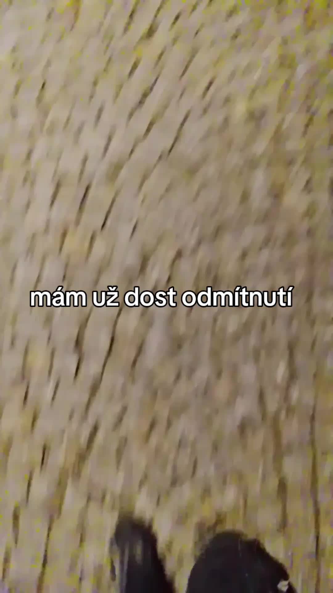 @Paulie