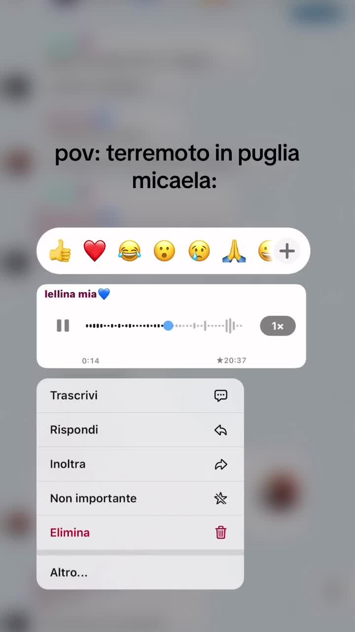 @levereCheccoZalone
