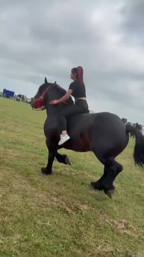 @👑alina🐎👑