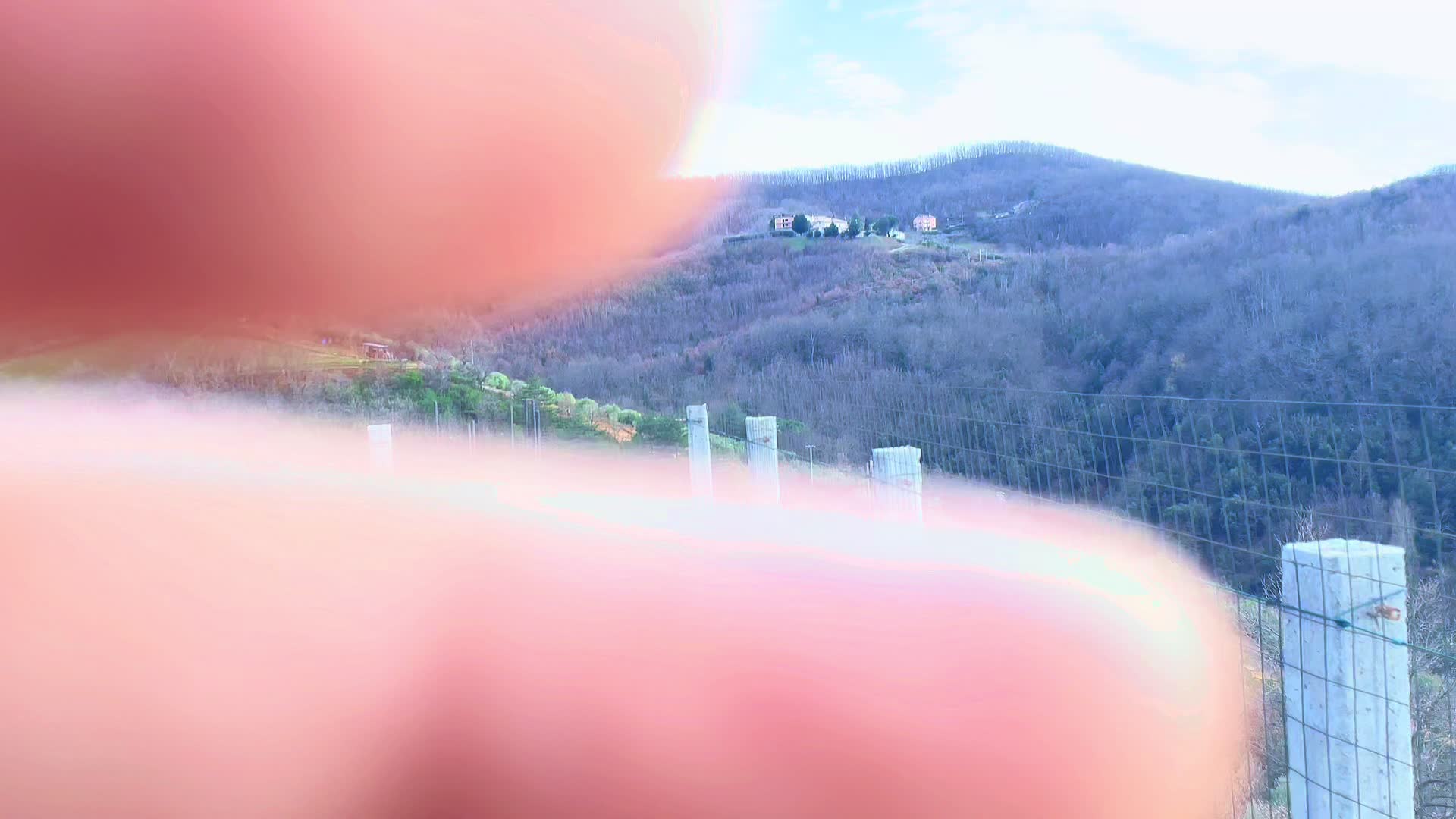 @appassionatodimotori0